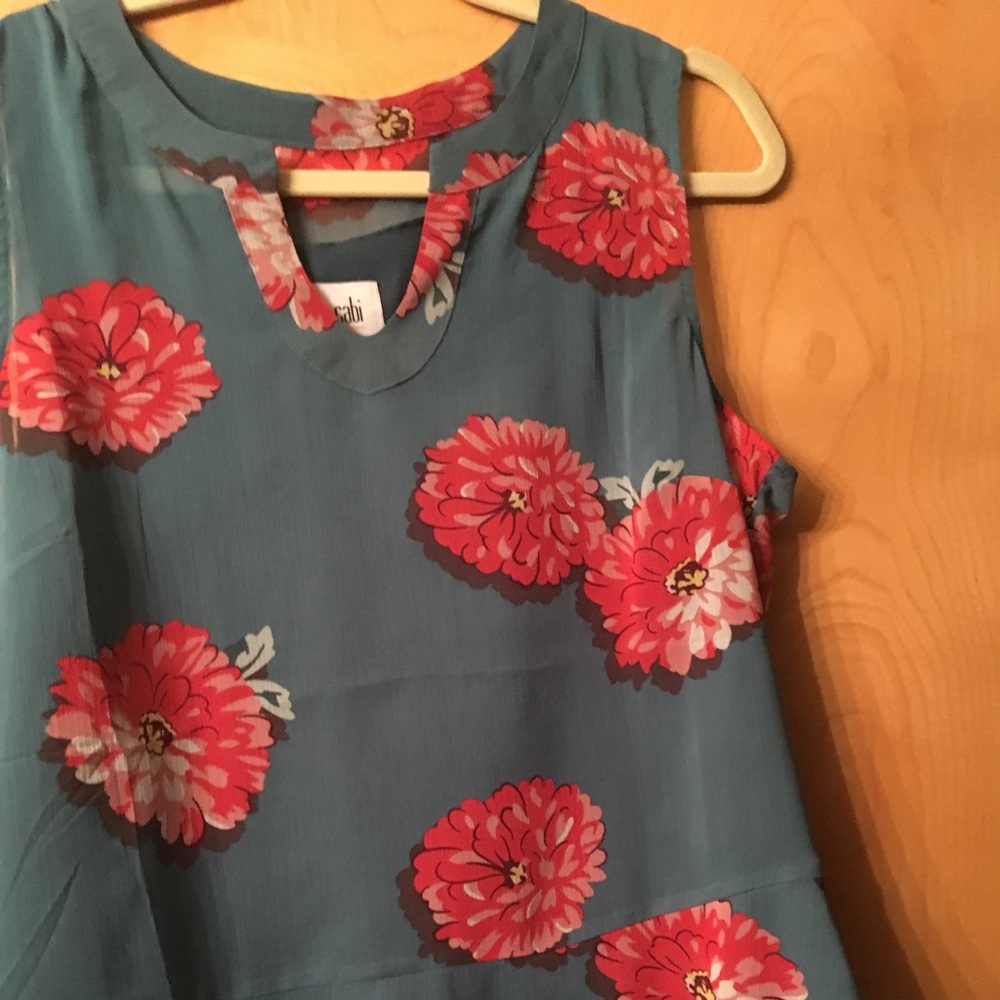 CAbi blouse